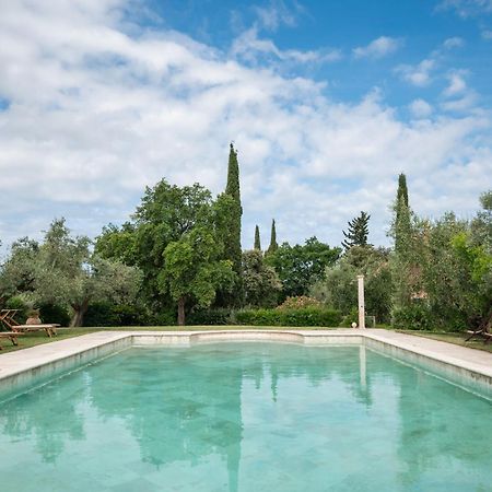 Agriturismo Tra Gli Ulivi, Chiappini Winery Bolgheri Exteriér fotografie