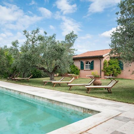 Agriturismo Tra Gli Ulivi, Chiappini Winery Bolgheri Exteriér fotografie
