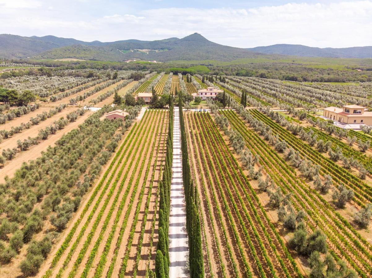 Agriturismo Tra Gli Ulivi, Chiappini Winery Bolgheri Exteriér fotografie