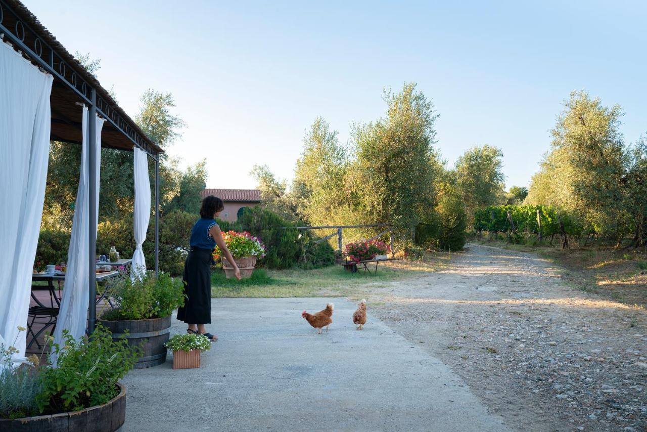 Agriturismo Tra Gli Ulivi, Chiappini Winery Bolgheri Exteriér fotografie