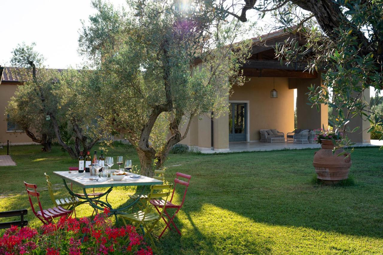 Agriturismo Tra Gli Ulivi, Chiappini Winery Bolgheri Exteriér fotografie