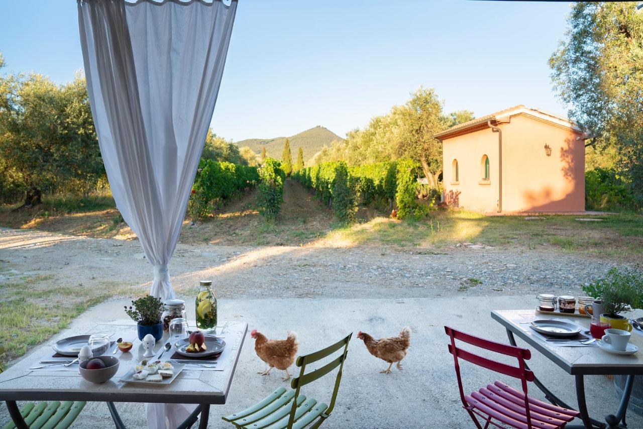 Agriturismo Tra Gli Ulivi, Chiappini Winery Bolgheri Exteriér fotografie