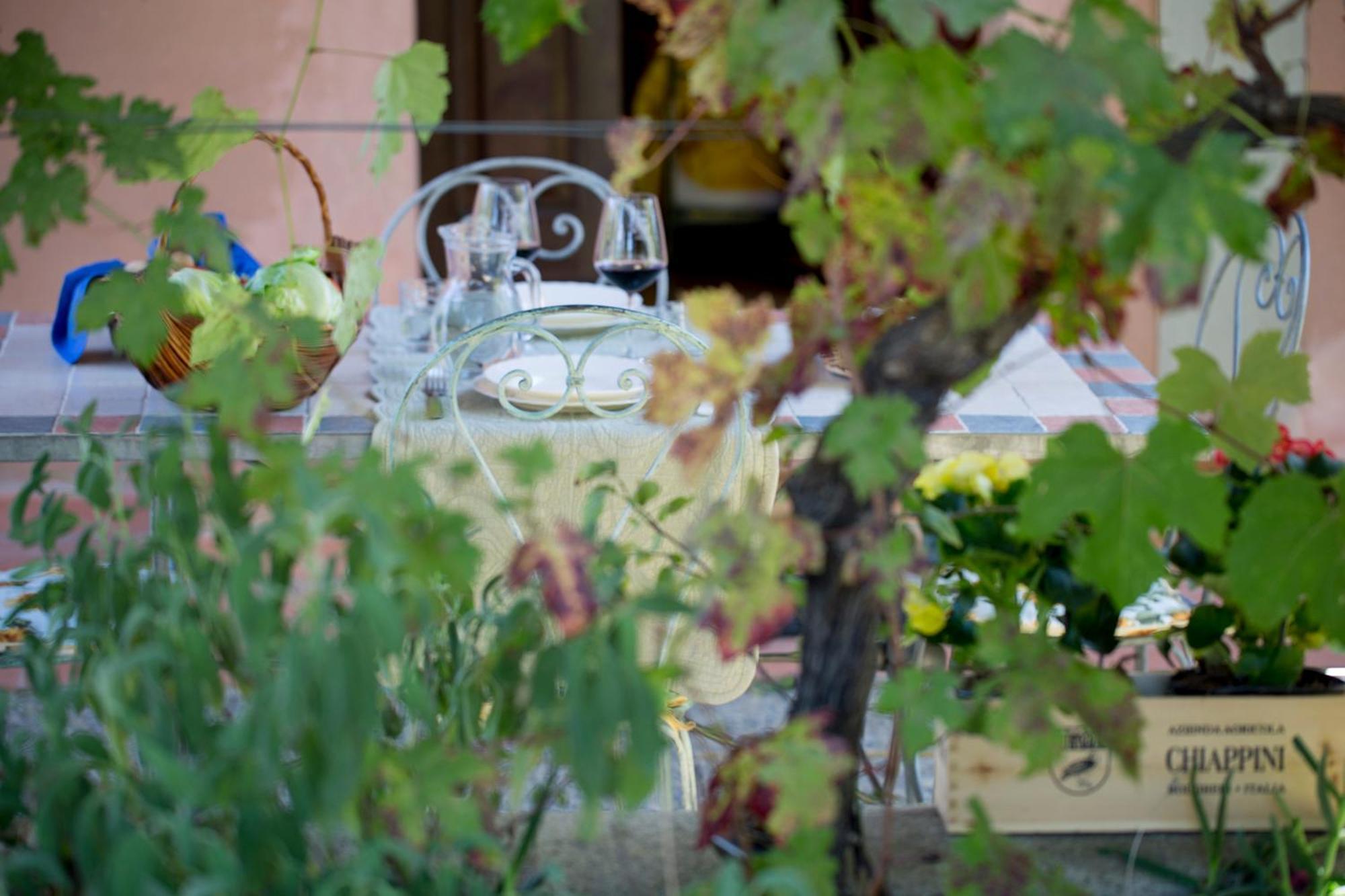 Agriturismo Tra Gli Ulivi, Chiappini Winery Bolgheri Exteriér fotografie