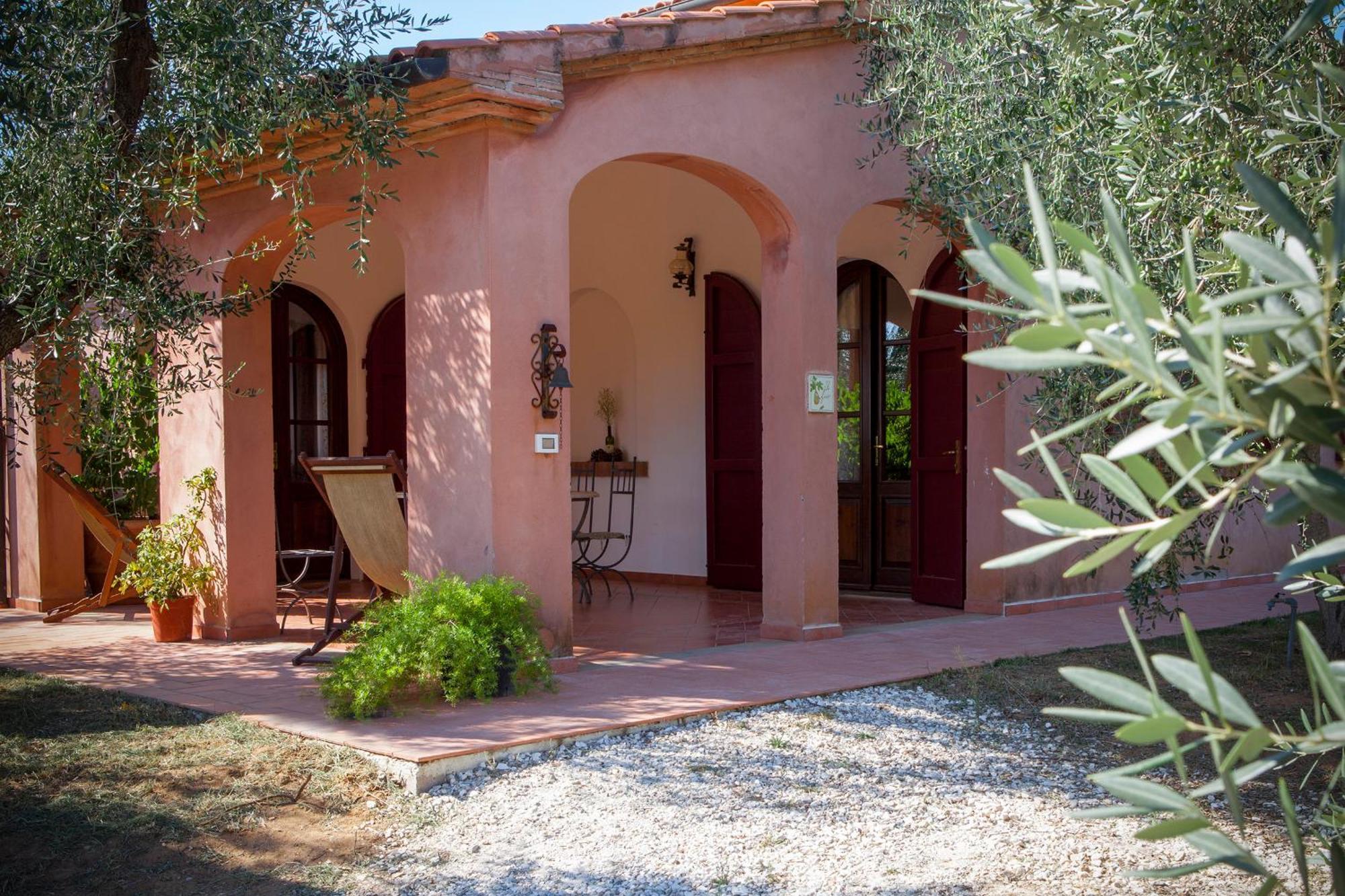 Agriturismo Tra Gli Ulivi, Chiappini Winery Bolgheri Exteriér fotografie