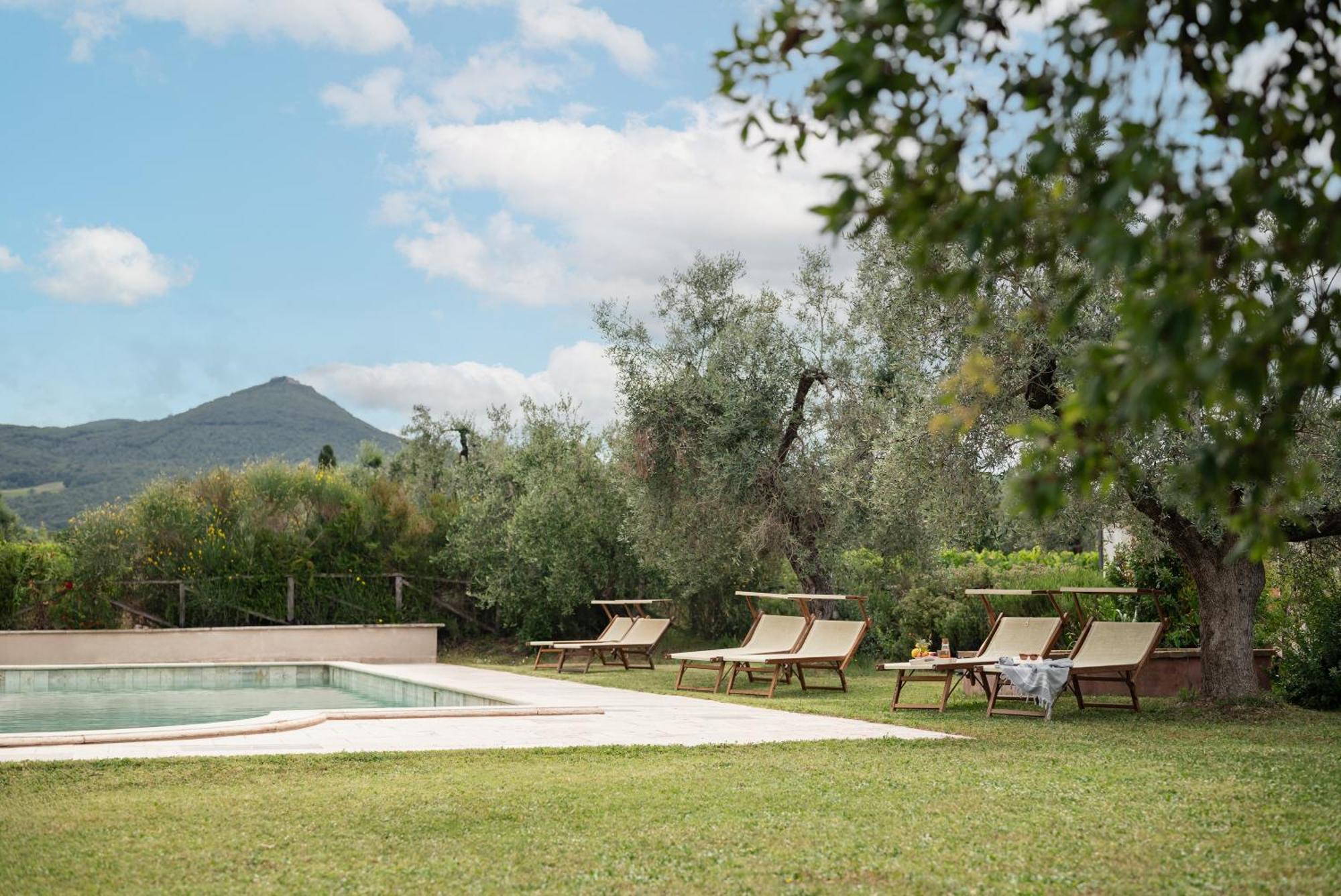 Agriturismo Tra Gli Ulivi, Chiappini Winery Bolgheri Exteriér fotografie