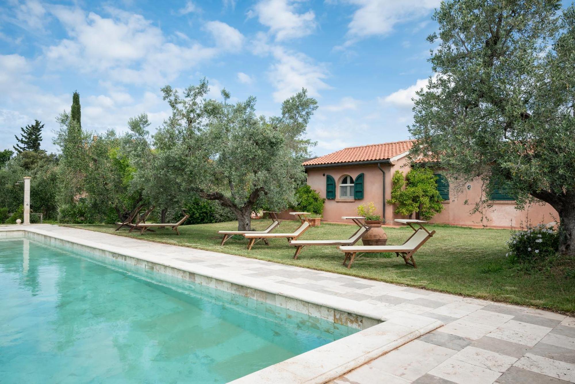 Agriturismo Tra Gli Ulivi, Chiappini Winery Bolgheri Exteriér fotografie