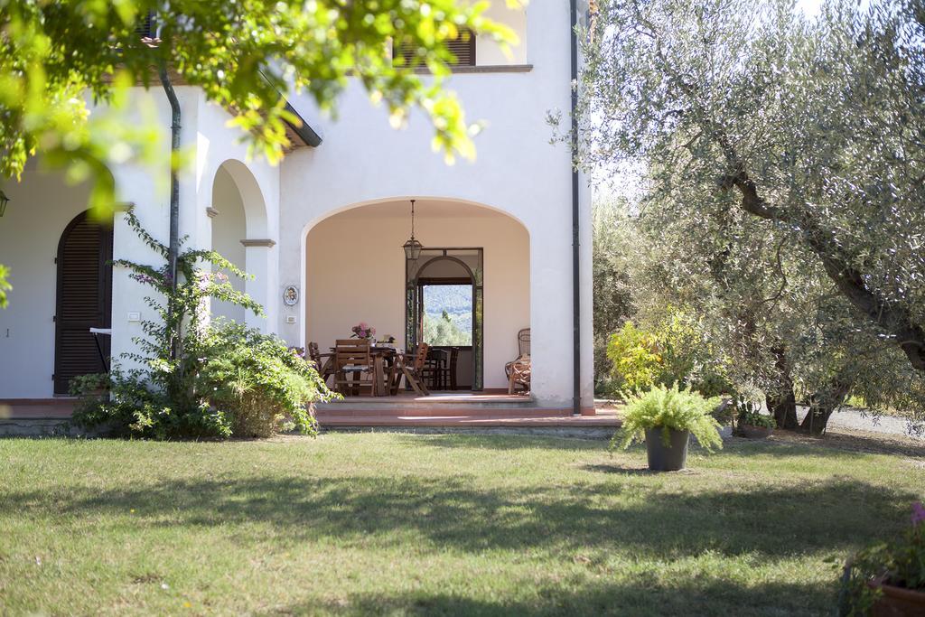 Agriturismo Tra Gli Ulivi, Chiappini Winery Bolgheri Exteriér fotografie