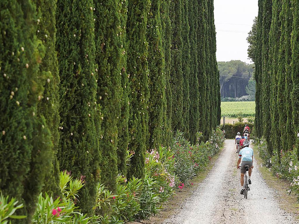 Agriturismo Tra Gli Ulivi, Chiappini Winery Bolgheri Exteriér fotografie