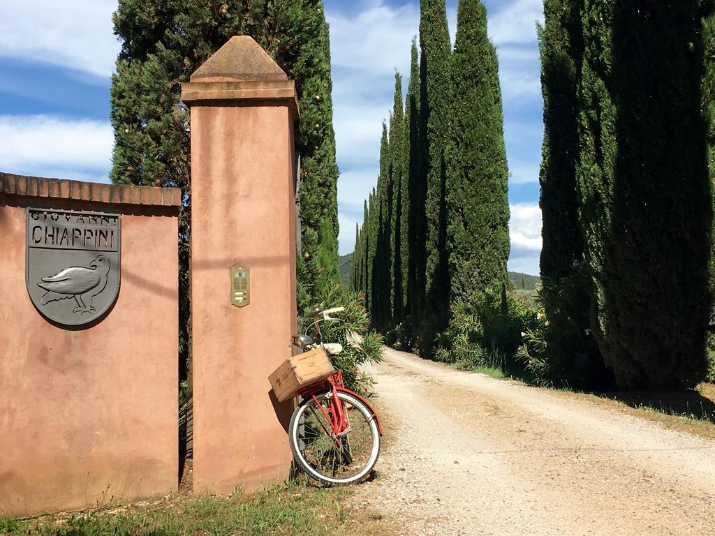 Agriturismo Tra Gli Ulivi, Chiappini Winery Bolgheri Exteriér fotografie