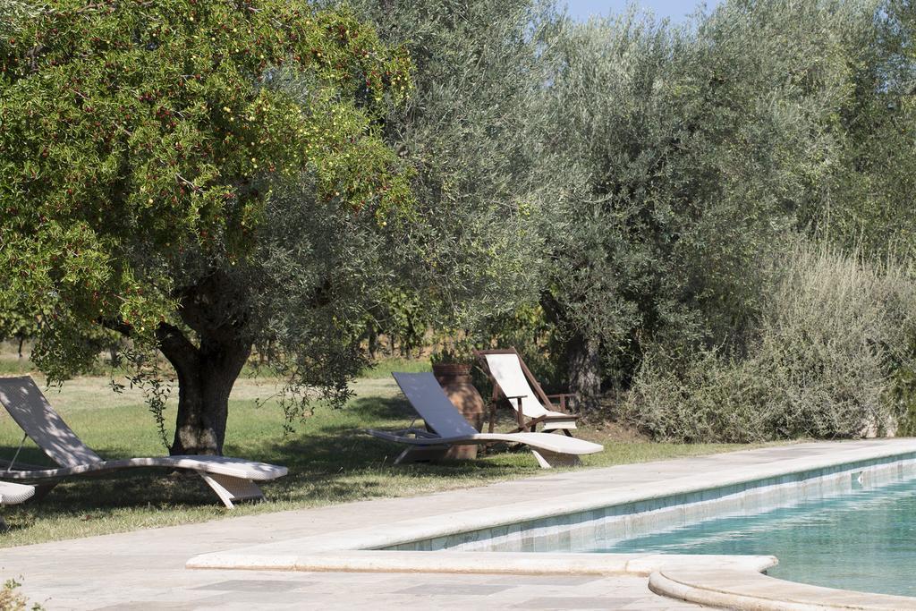 Agriturismo Tra Gli Ulivi, Chiappini Winery Bolgheri Exteriér fotografie