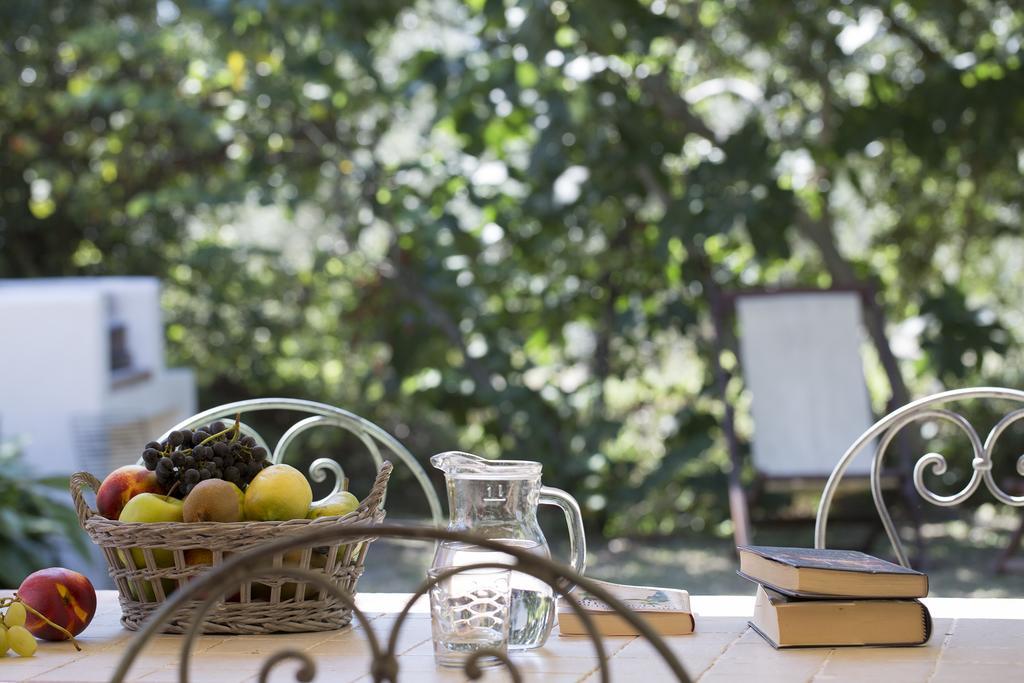 Agriturismo Tra Gli Ulivi, Chiappini Winery Bolgheri Exteriér fotografie