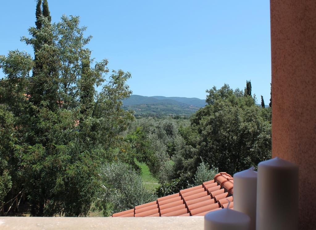 Agriturismo Tra Gli Ulivi, Chiappini Winery Bolgheri Exteriér fotografie