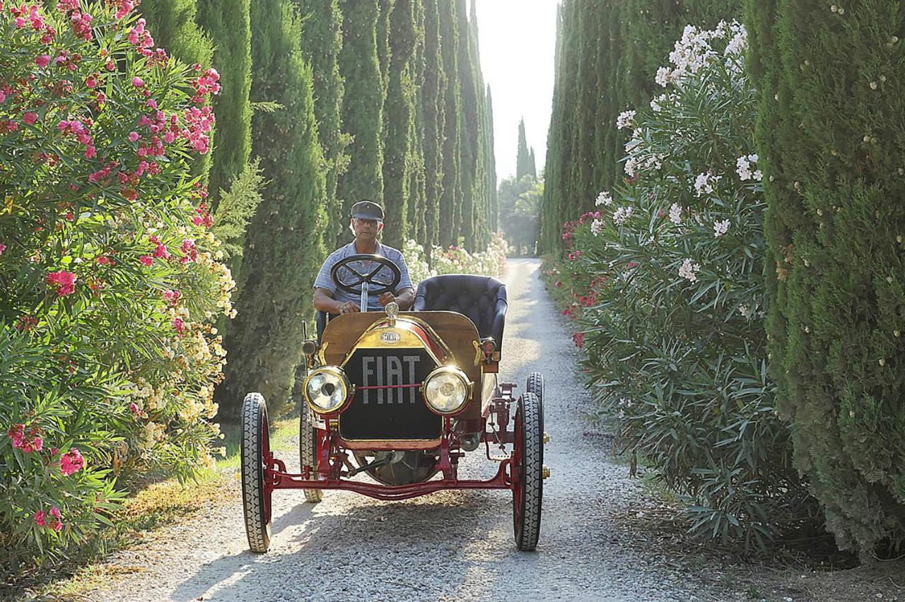 Agriturismo Tra Gli Ulivi, Chiappini Winery Bolgheri Exteriér fotografie